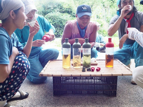 Kumamoto-cha & Miyazaki-cha - yunomi-jp.pro