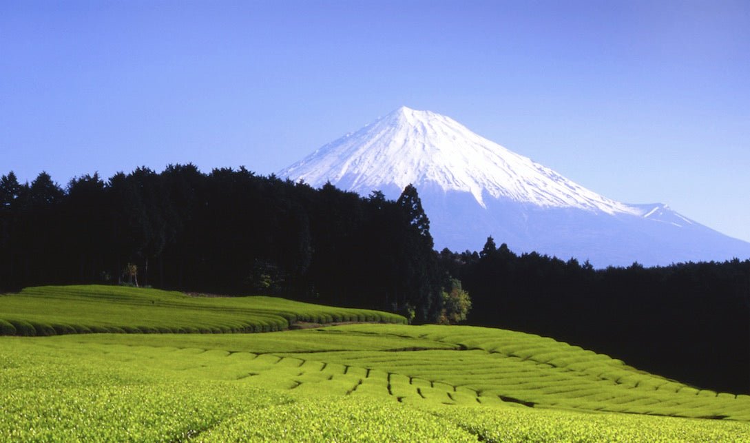 My order has shipped by postal airmail hasn’t arrived and is probably stuck in the postal system. What are my options? - yunomi-jp.pro