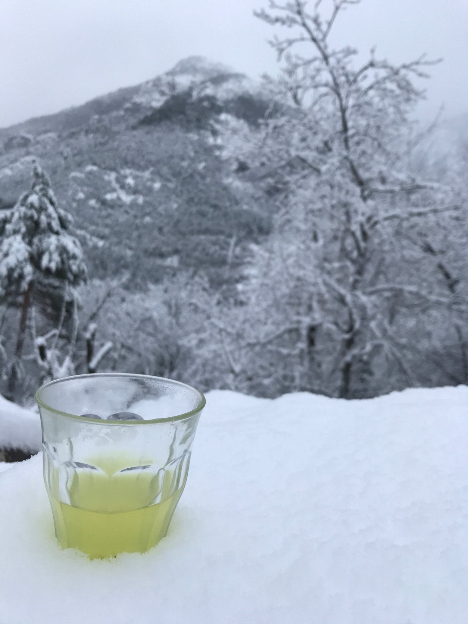 New Year, First Tea - yunomi-jp.pro