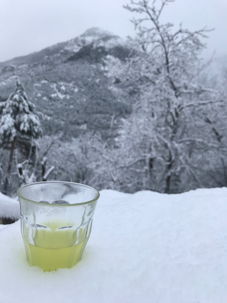 New Year, First Tea - yunomi-jp.pro