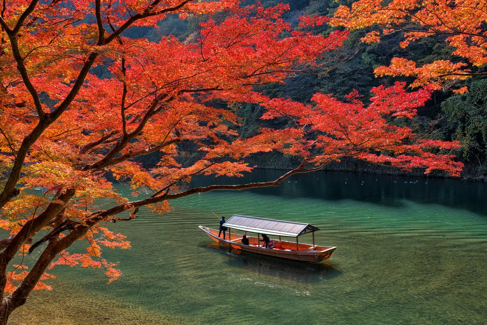 The Colors of a Season: Experience Autumn Foliage from Hokkaido to Kyushu - yunomi-jp.pro
