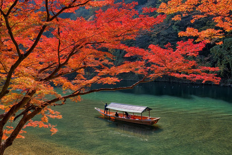 The Colors of a Season: Experience Autumn Foliage from Hokkaido to Kyushu - yunomi-jp.pro