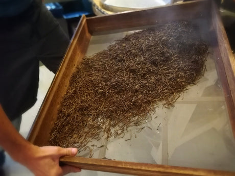 The Hojicha Project has started! - yunomi-jp.pro