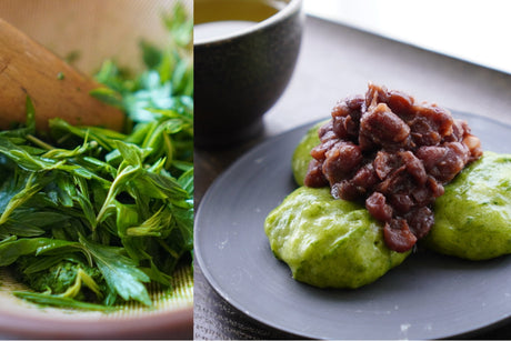 Yomogi(よもぎ) -Japanese Mugwort , How to Make Yomogi Mochi - yunomi-jp.pro