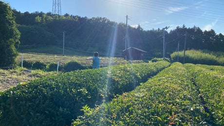 Yunomi Charity Yoga is happening in August! - yunomi-jp.pro