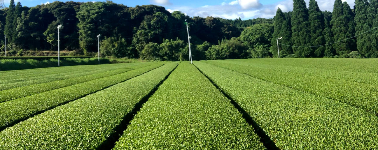 Products Made in Kagoshima