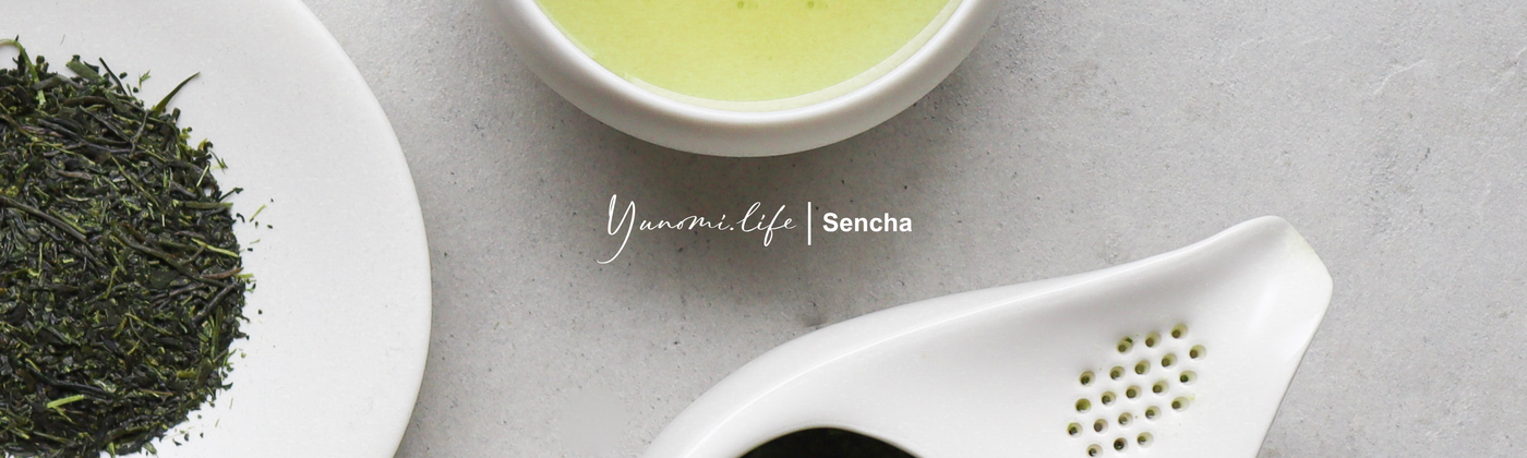 Sencha