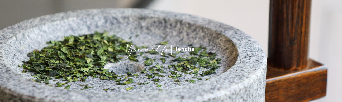 Tencha
