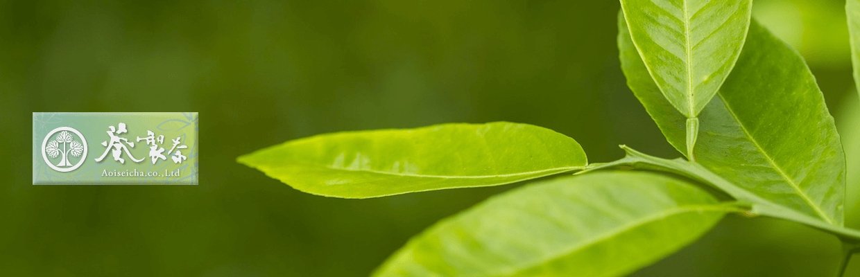 AOI Seicha - yunomi-jp.pro