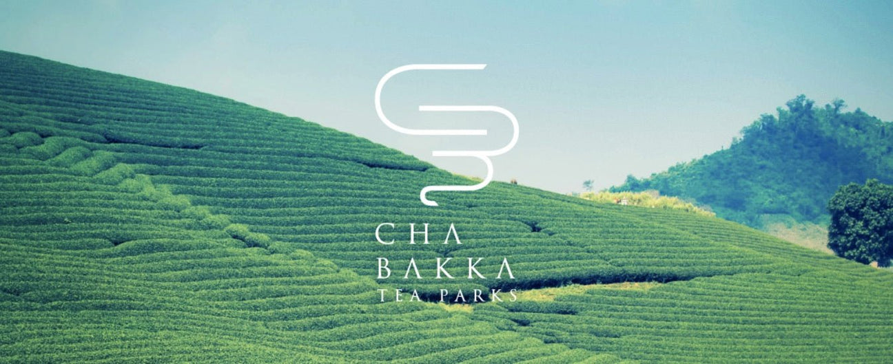 Chabakka Tea Parks - yunomi-jp.pro