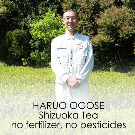 Haruo Ogose - yunomi-jp.pro
