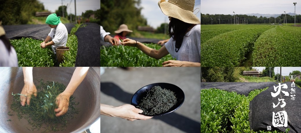 Hinokuni Kumamoto - yunomi-jp.pro