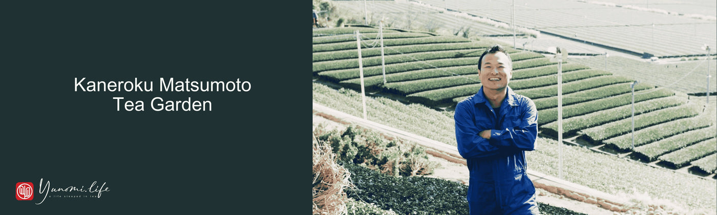 Kaneroku Matsumoto Tea Garden