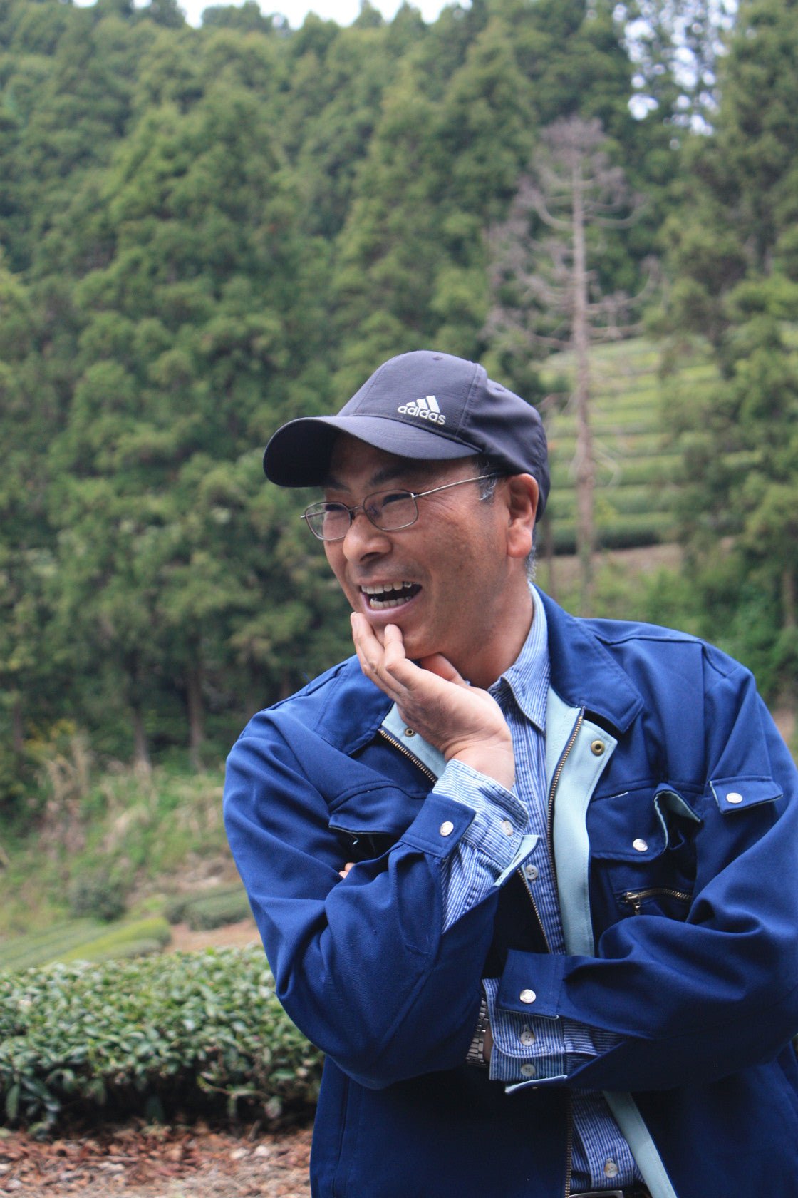 Kashima Tea Garden - yunomi-jp.pro