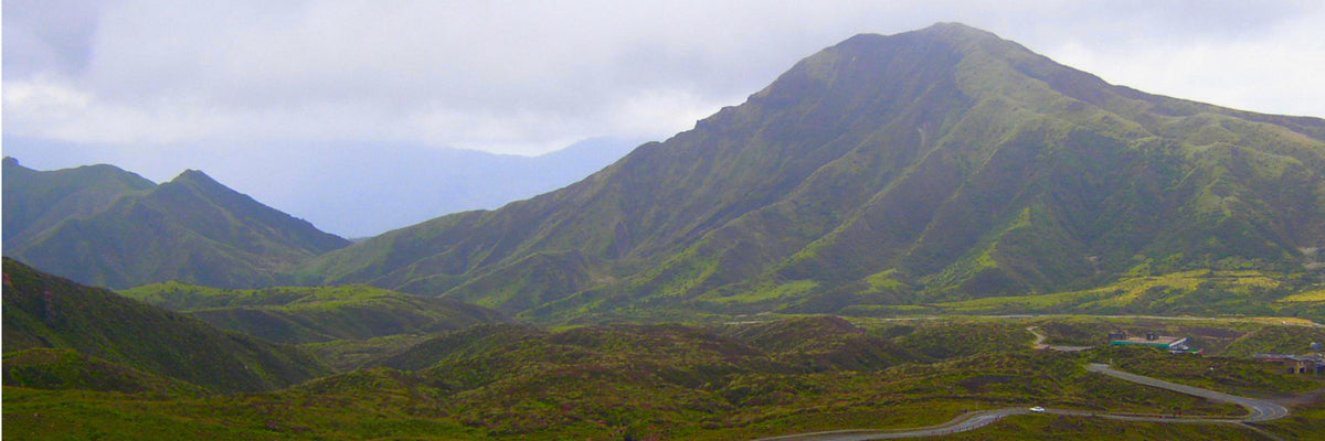 Products Made in Kumamoto