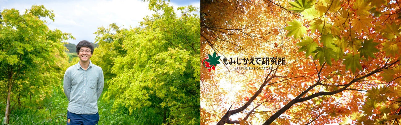 Maple Laboratory - yunomi-jp.pro