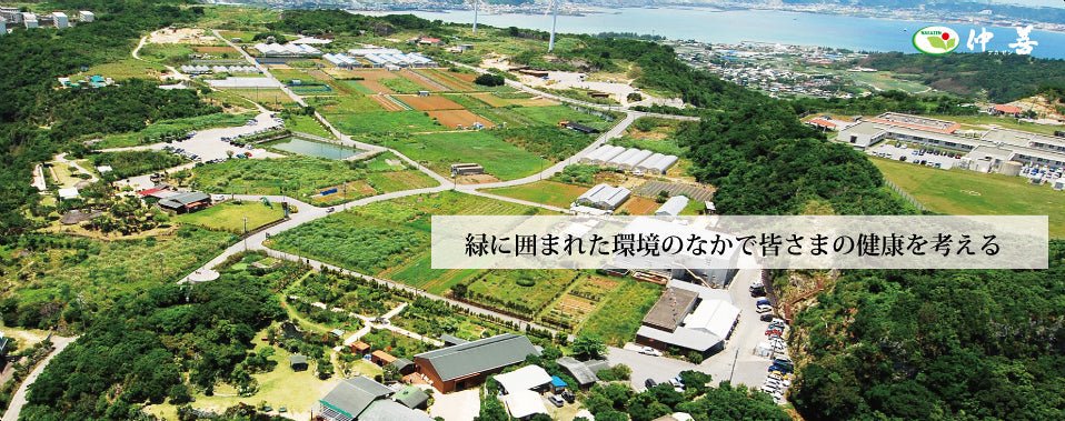 Nakazen - yunomi-jp.pro