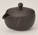 Takasuke Kiln (Y122) 高資陶苑: Tokoname Hohin Tea Pot, Black, Ceramic Mesh Strainer 160 ml