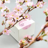 予約注文（2～6ヶ月の納期見込み）#0783.K2 ホールセール 天然栽培 湯呑み抹茶 - 佐保姫 - プレミアム儀式用グレード