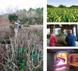 #1007.K2 Kawakami-san’s Makibi Kancha Winter Harvested, Firewood Roasted Green Tea