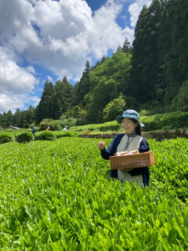 #0896.A1 Tsubame to Chabatake: Farm Direct Wakocha Black Tea from Nukata Village, Okazaki, Aichi