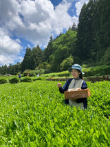 #0896.A1 Tsubame to Chabatake: Farm Direct Wakocha Black Tea from Nukata Village, Okazaki, Aichi