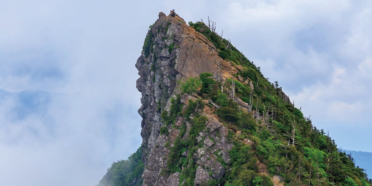 #0601.E1 Ishizuchi Kurocha (Aged 3+ years) - Fermented Dark Tea from Ehime Prefecture - EH002