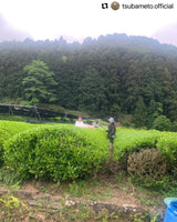 #0896.A1 Tsubame to Chabatake: Farm Direct Wakocha Black Tea from Nukata Village, Okazaki, Aichi