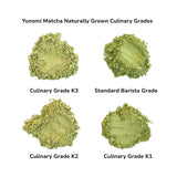 スタジオレッスン - お茶のプロまたは愛好家レベル - パーソナライズされた日本茶の奥深さ