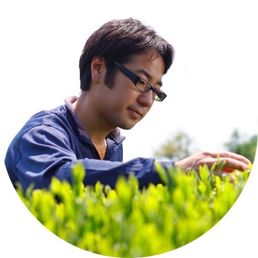 #0324.S2 Hiraoka Tea Garden: 2025 Shincha - Premium Grade Sencha "Sakura"　特上煎茶「桜」