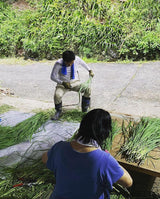 #0353.K5 かじはら茶園 #04 自家製レモングラスと釜炒り茶のハーブティー