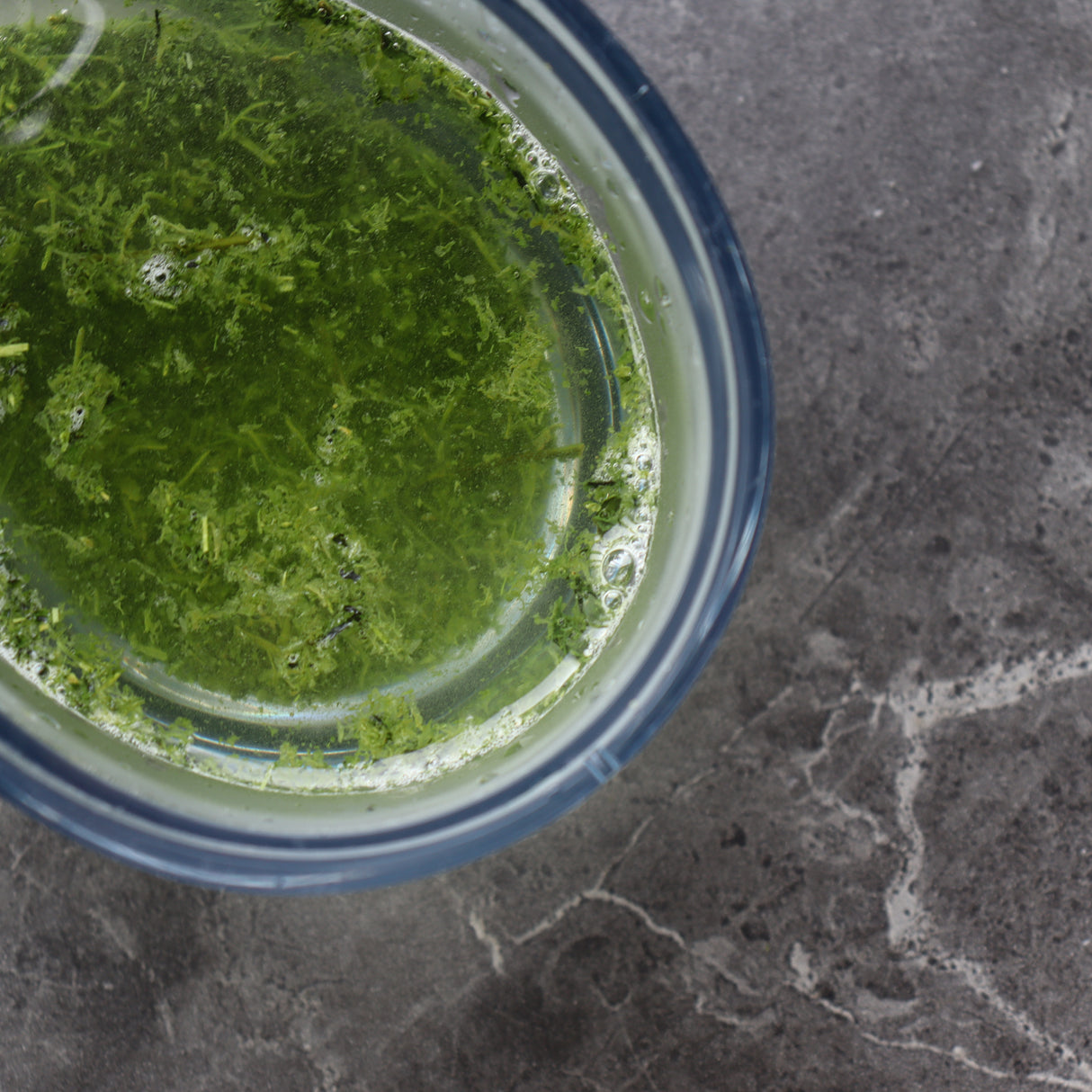 #0296.K2：鹿児島茶 新茶｜古市製茶