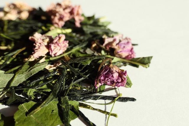 #0040.K6 Sakura Sencha (Obubu Tea) 桜煎茶