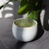 PREORDER available late May 🍵 2026 #0002.K6 Obubu Tea: Sencha of the Spring Sun