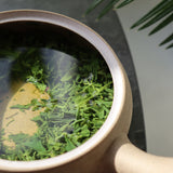 #0424.K2 古貴園茶園 浅虫かぶせ茶 ～川口姉妹の霧島茶 爽やかなひととき～ 極上のホッと一息