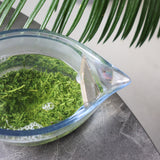 #0422.K2 Koukien Tea Garden: Asamushi Kabusecha - Kawaguchi Sisters' Kirishimacha Refreshing Moment - Premium ホッと一息