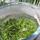 #0422.K2 Koukien Tea Garden: Asamushi Kabusecha - Kawaguchi Sisters' Kirishimacha Refreshing Moment - Premium ホッと一息