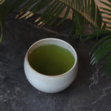 #0339.K2 JA Kagoshima Chagyo: 2025 Limited Edition Kagoshima Shincha Harumidori (Harvested Mid-April)