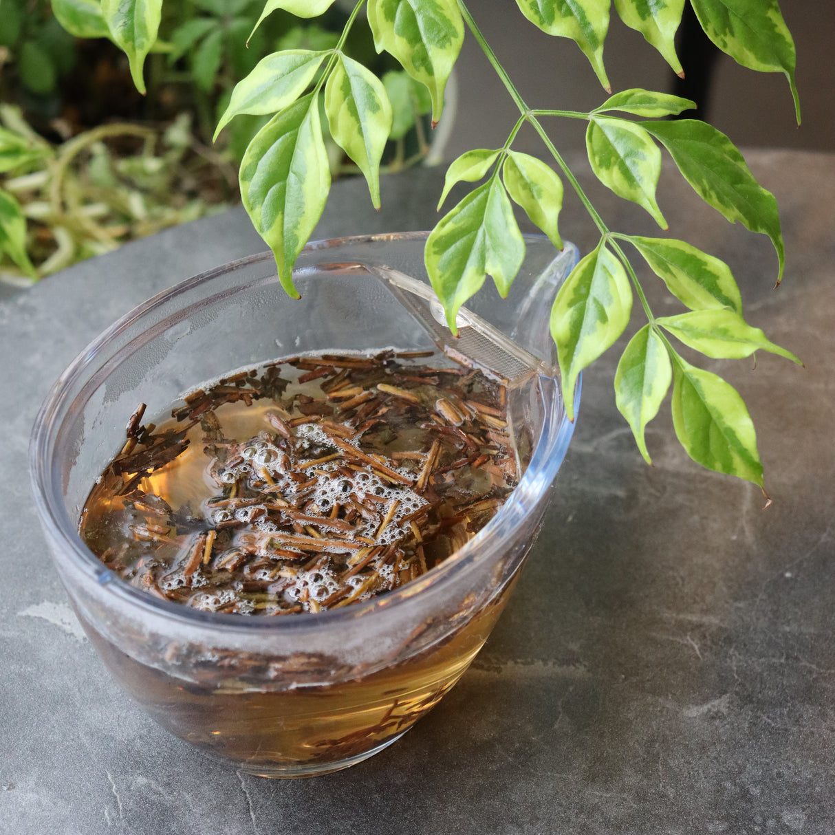 #0211.S5 Dobashien Tea #18: Kakegawa Series: Premium Shizuoka Hojicha Roasted Green Tea 特上ほうじ茶 100g