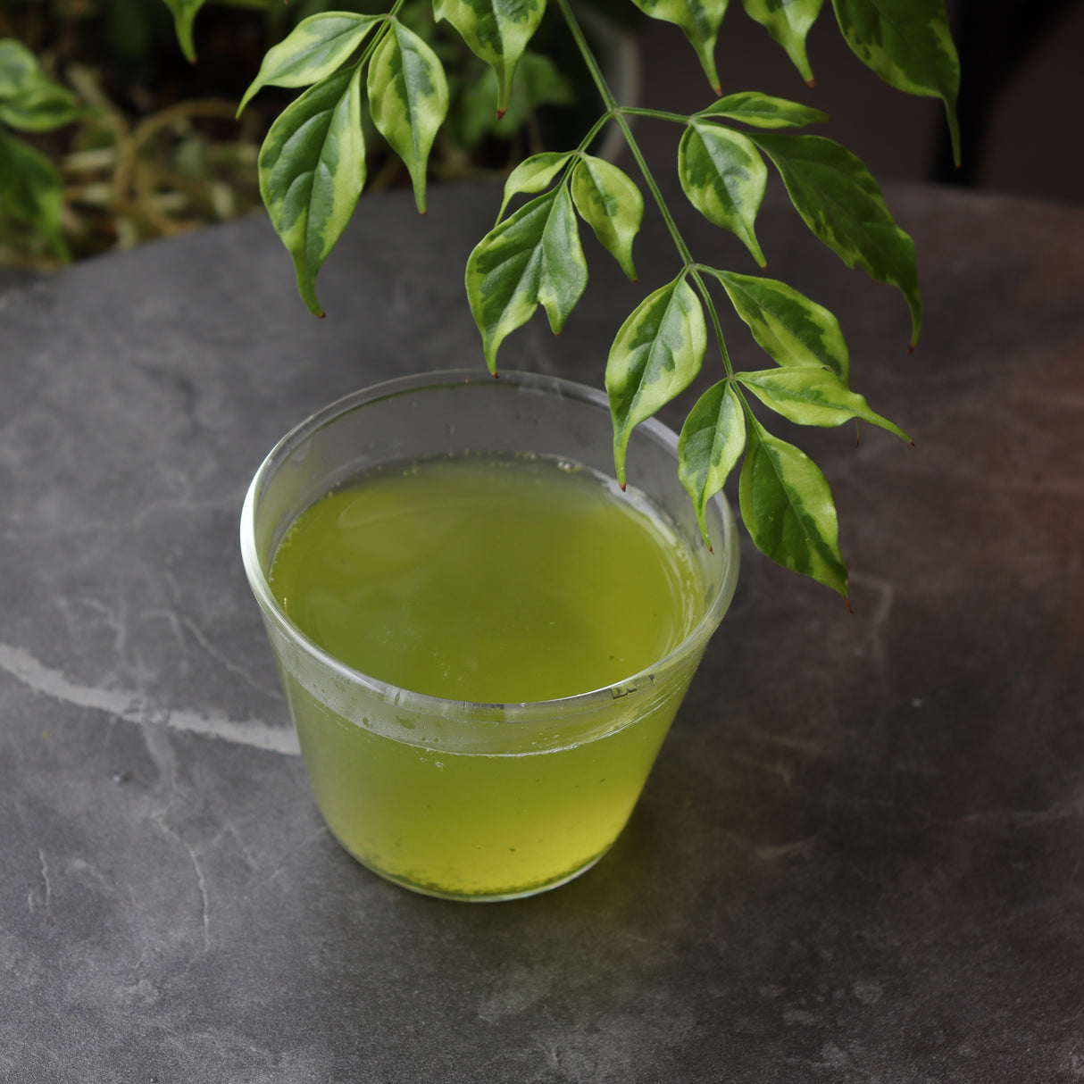 #0203.S5 土橋園茶 #10: 掛川シリーズ: 極上煎茶利休 煎茶利休