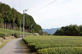 #1056.G1 Nitta Tea Factory: Premium Karigane