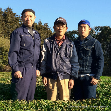 Yokota Tea Garden Family