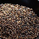 Nabeshima Hida Mugicha Barely Tea