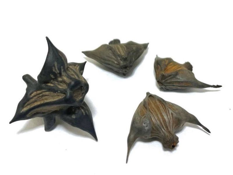 #1097 Inabishi: Hishicha Water Caltrop Herbal Tea