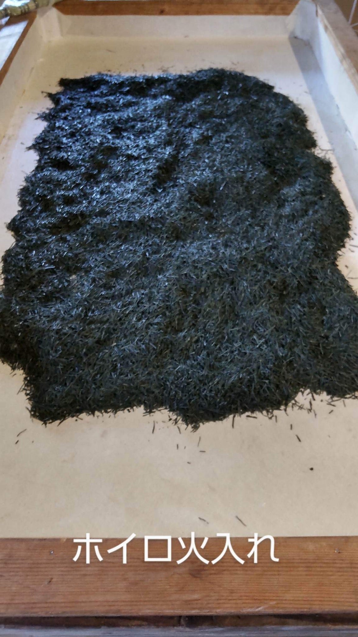 #0398.S5 ケインズティー: 2025 本酢 No. 5 - コンペティショングレード 静岡県川根産浅虫煎茶