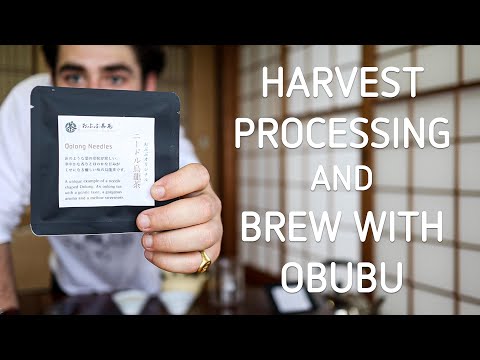 #0030.K6 オブブ KY030: ニードルウーロン 天然・ニードル烏龍茶