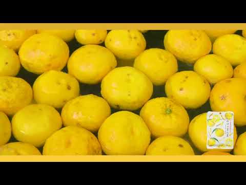 Kakuya Foods:  Yuzu no Manma 柚子のまんま（おつまみ柚子）