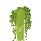 #0784.TX Yunomi.Matcha: Naturally Grown - Kodama - Standard Ceremonial Grade Matcha