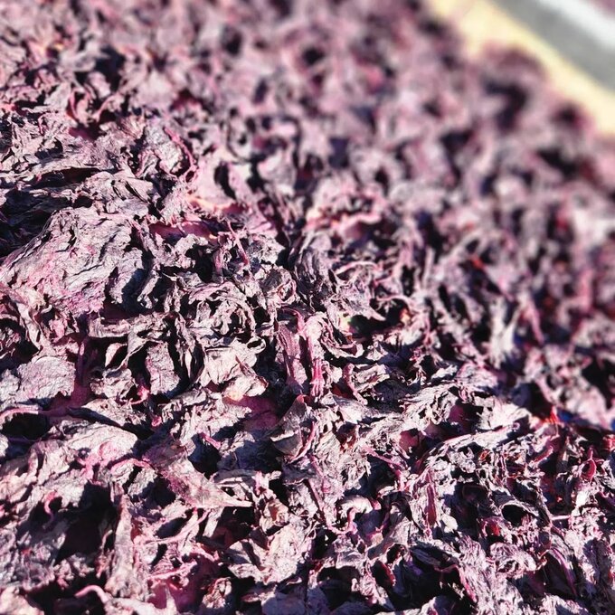 Iijima Seitarou Shoten KN004: Yukari - Sundried, salt-pickled shiso leaves ゆかり