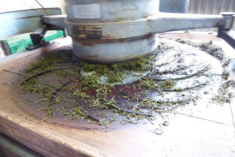 Ayumi Farms (Cyittorattu): Handpicked Wakocha (Japanese black tea, 40g bag) - yunomi-jp.pro